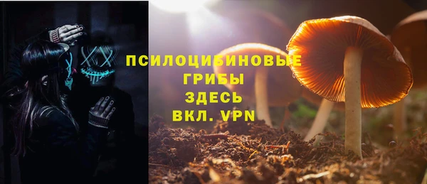 дмт Ростов